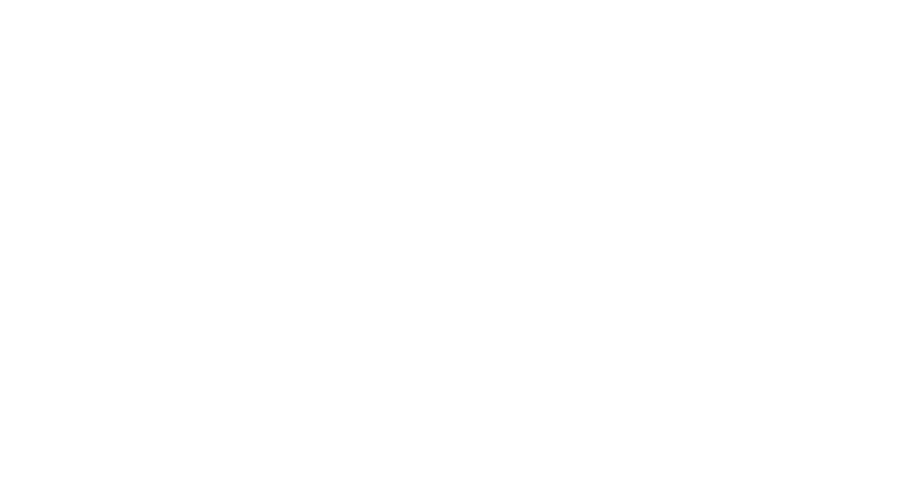 IBM Partner